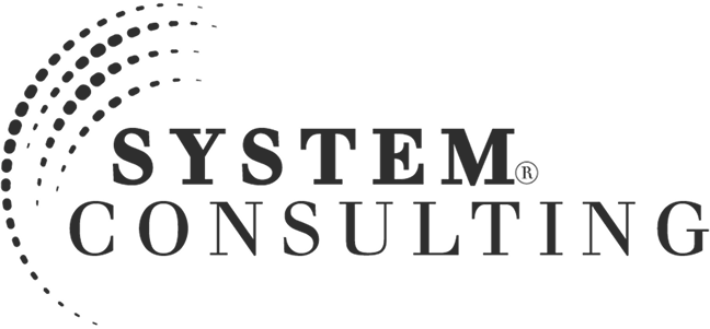 System Consulting